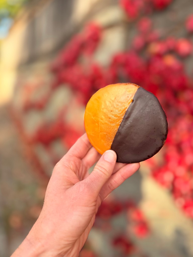 A hand holding a half orange, half chocolate cookie in front of a backdrop of red foliage.